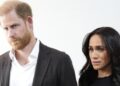 O Príncipe Harry acredita que este Royal é o 'principal encrenqueiro' - Fonte