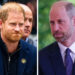 O relacionamento do príncipe William e do príncipe Harry ‘não poderia ser pior’, revela o autor real
