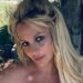 O trabalho de Britney Spears em registros de prisão é listado como ‘celebridade’