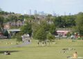 Por dentro da batalha pelos parques de Londres enquanto os moradores participam dos festivais de música de verão
