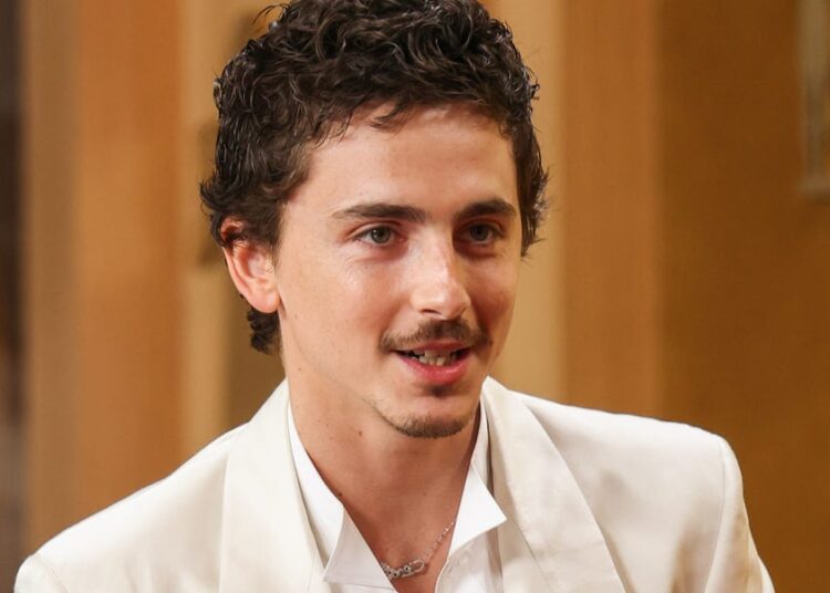 Por que os comentários de Timothée Chalamet são bons para ópera e balé