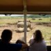 Primeiro filhote de rinoceronte branco do sul de 2026 nascido no parque safari The Wilds