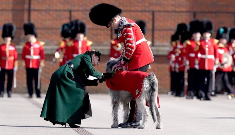 Princesa de Gales celebra Dia de São Patrício com Guardas Irlandeses | Notícias do Reino Unido