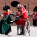 Princesa de Gales celebra Dia de São Patrício com Guardas Irlandeses | Notícias do Reino Unido