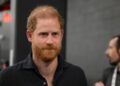Príncipe Harry 'em turbulência' com a prisão de Andrew | Real | Notícias