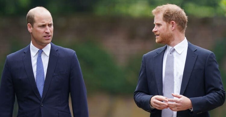Príncipe Harry teme que William possa retirar a Archie e Lilibet seus títulos reais