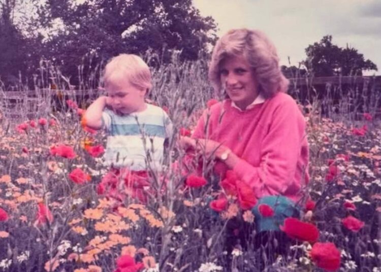 Príncipe William homenageia a princesa Diana com uma foto invisível