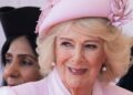 Rainha Camilla anunciada como estrela do novo documentário da BBC | Real | Notícias