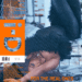 SZA Exclusive Interview on New Music in 2026, the White House, and AI