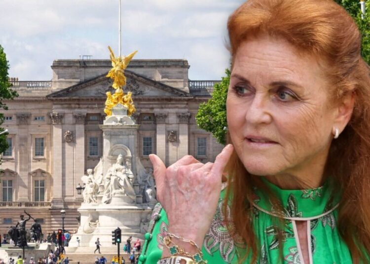 Sarah Ferguson alertou contra movimentos desajeitados, pois ainda tem ‘tudo a perder’ | Real | Notícias
