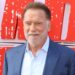 Schwarzenegger está em negociações para retornar às franquias icônicas