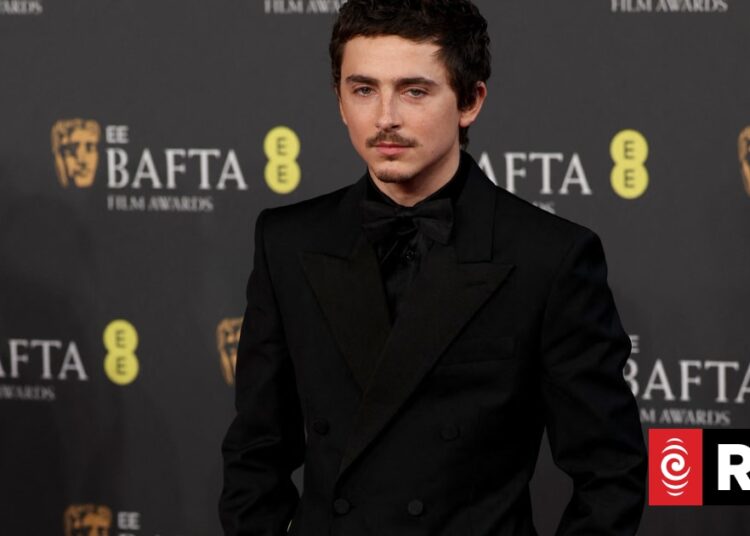 Timothee Chalamet é criticado por causa de ópera e escavação de balé