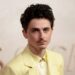 Timothée Chalamet enfrenta críticas por sua declaração controversa sobre as artes