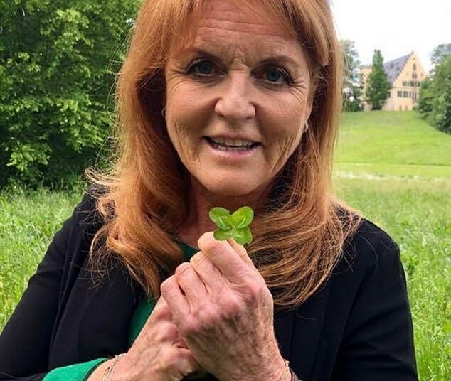 Where’s Fergie? The publicity-loving ex-duchess was last spotted on December 12. From Priscilla Presley’s LA guest house to an old flame’s mansion in Wiltshire, BARBARA DAVIES track the clues…