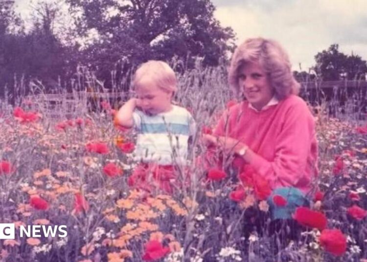 William compartilha foto inédita com a princesa Diana no Dia das Mães