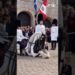 l #youtubeshorts #animals #royal #shortsvideo #cavalos