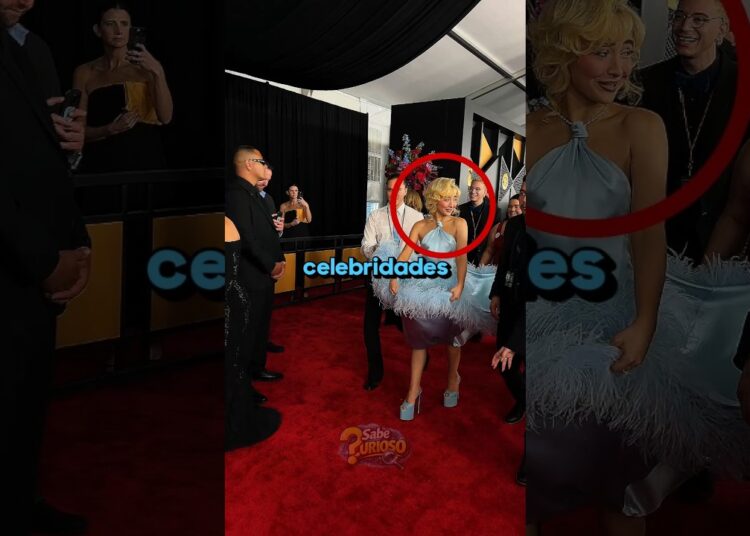 Ele gravou o show privado e deu ruim! #curiosidades #sabrinacarpenter #noticias #brazil
