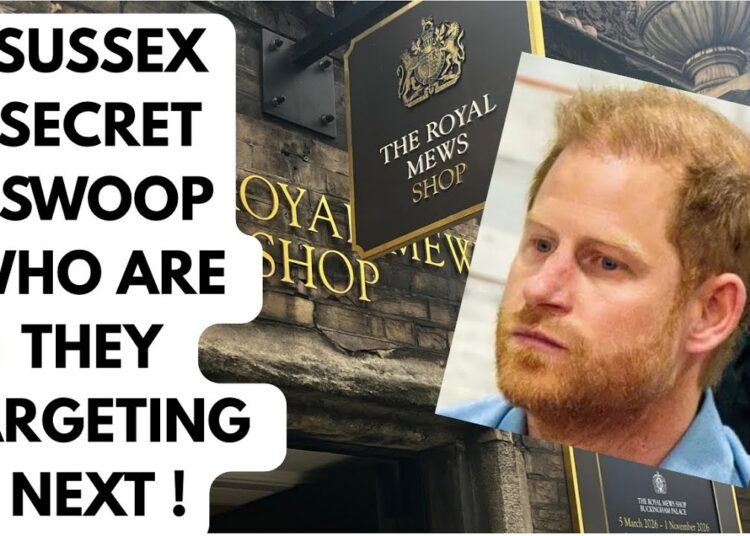 SUSSEX SECRET SWOOP TO TARGET WHO? #meghan #princeharry #royal