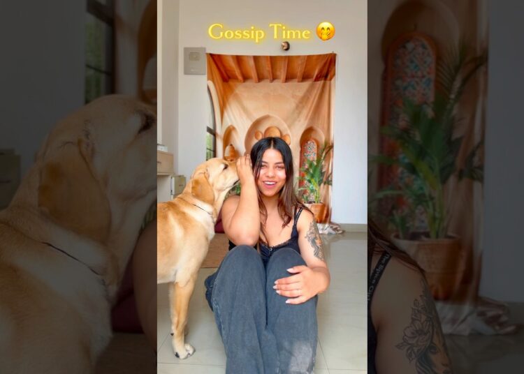 Eleven ne ki gossip #explore #gossip #trending #minivlog #shortvideo #shorts