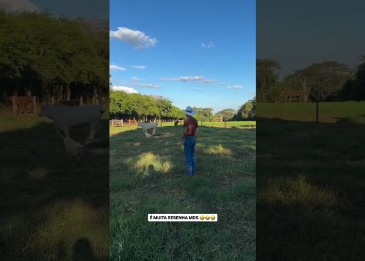 DEU RUIM? 😬 Luan Pereira tenta ensinar Ana Castela#anacastela #anacastelacantora #fofoca #famosos