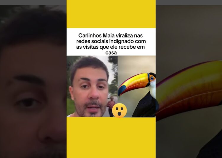 @CarlinhosMaiaof@clipeibrasil#CarlinhosMaiaCP #ClipeiBrasil #famosos #celebridades