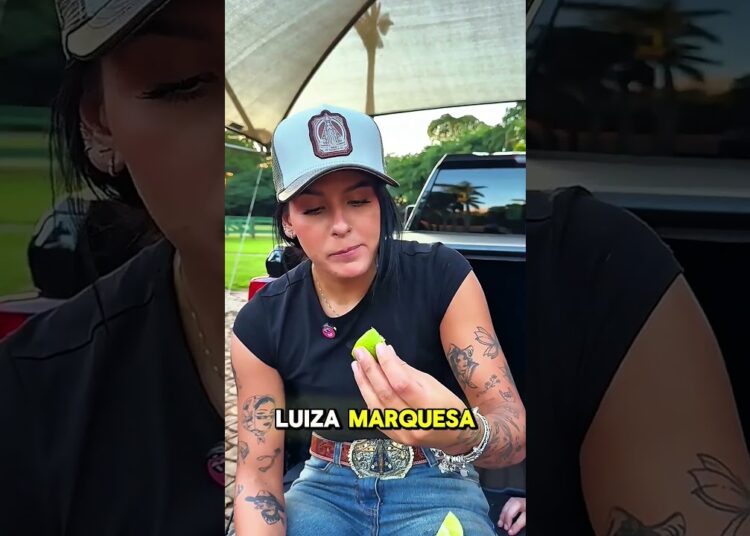 ANA CASTELA SE ABALA AO VER ZÉ FELIPE COM LUIZA MARQUESA! #fofoca #celebridades #famosos