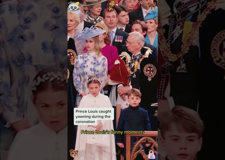 Prince Louis’ most adorable and funniest moments  #rayalfamily #royal #theroyalfamily