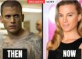 Top 20 Transgender Celebrities You Didn’t Know About | Then and Now 2026