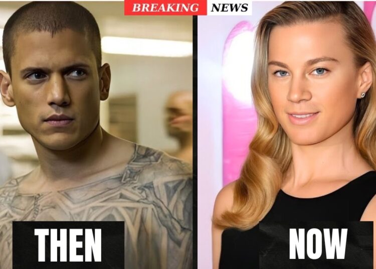 Top 20 Transgender Celebrities You Didn’t Know About | Then and Now 2026