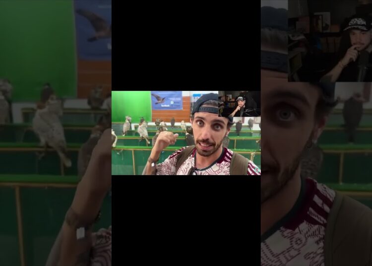 catar onde os pássaros sao tratados como realeza