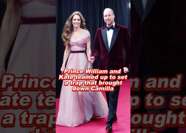 Prince William and Kate teamed up to set a trap that brought down Camilla #royal