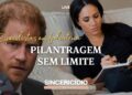 REALEZA EM LIQUIDAÇÃO: Filhos na Páscoa, Desconto na Austrália, Saúde Secreta do Rei- LIVE de Quarta