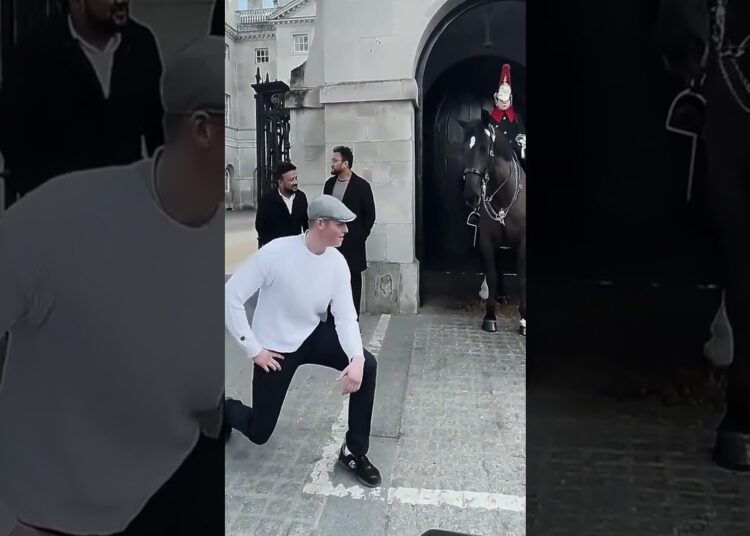 Japanese respect the king’s guard horse #horseguardsparade #kingsguard #respect #tourist #realeza