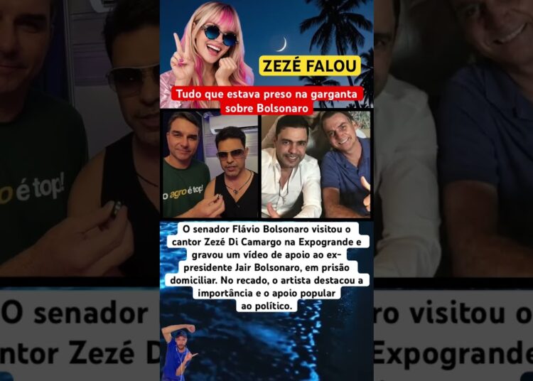 ZEZÉ MANDA RECADO PRA BOLSONARO E LAVA A ALMA #feedshorts #ultimasnoticia #fofoca