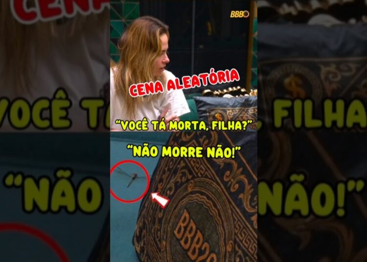 ANA PAULA CONVERSA COM INSETO E PROTAGONIZA CENA HILÁRIA NO BBB