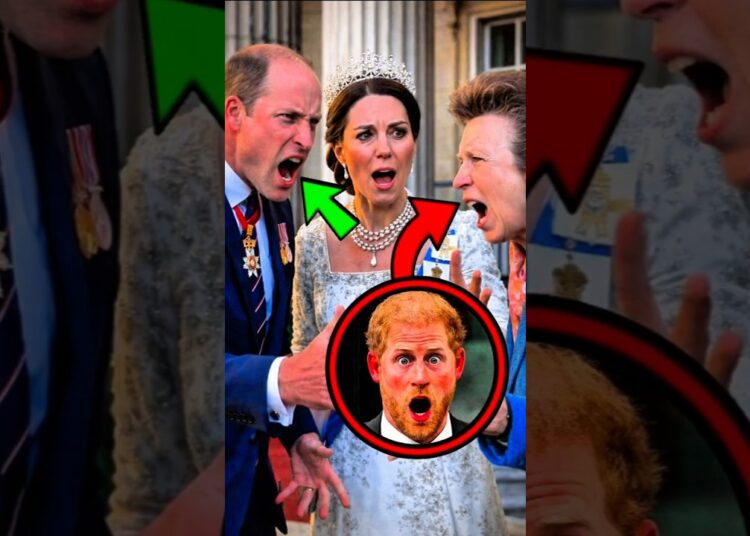 ¡SI LA PRINCESA ANNE HACE ESTO, LA REALEZA PODRÍA DIVIDIRSE!