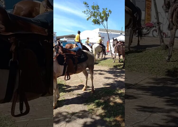 #automobile o vídeo Gilberto Realeza abertura da expansão da cidade de Araguari os cavalos