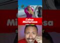 Virginia ganhou uma caixa de morangos de 11 mil
