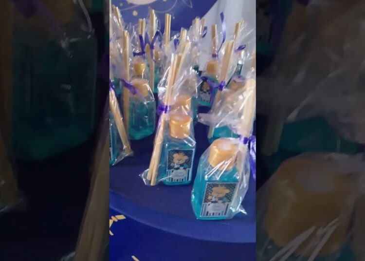 #vlogcomigo #medico #rotinadodia #creches #decoração #ursoo #realeza #donadecasa #limpeza