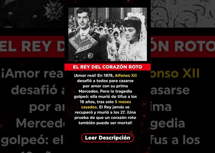 BREAKING: La verdadera historia tras “¿Dónde vas, Alfonso XII?”: El luto de España
