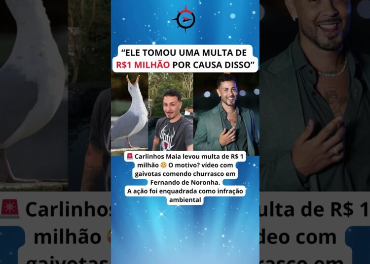 Carlinhos Maia leva multa de R$1 milhão por vídeo com gaivotas em Fernando de Noronha 😳