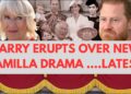 HARRY ERUPTS AFTER DISCOVERING THIS ABOUT CAMILLA #royal #princeharry #erupts