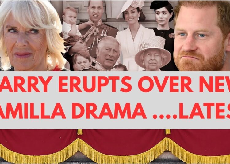 HARRY ERUPTS AFTER DISCOVERING THIS ABOUT CAMILLA #royal #princeharry #erupts