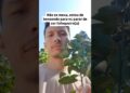 Manda para aquela pessoa que é muito fofoqueira #fofocas #fofoca #viral #humor #shorts