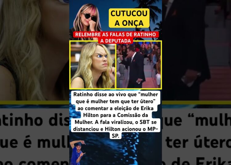 RATINHO CUTUCOU A ONÇA COM CARA CURTA DE NOVO #feedshorts #ultimasnoticia #fofoca