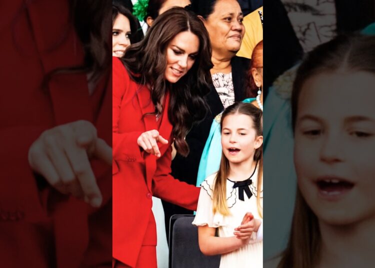⭐️ The Royal Concert Moment Everyone Could Feel 🔥🇯🇵 王室が熱狂したコンサートの瞬間🔥#royalfamily
