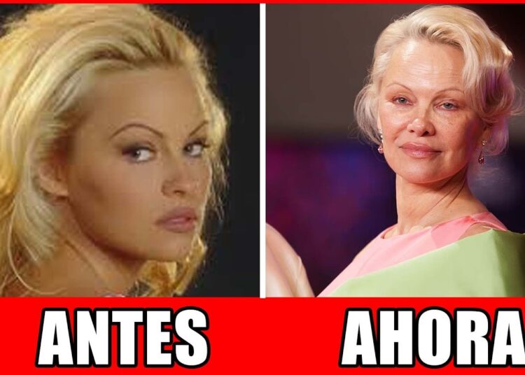 Top 14 Celebridades Que Envelheceram Horrivelmente | Antes E Depois 2026