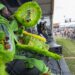 NOLA Jazz Fest: escolhas musicais de Gambit para ver em 1º de maio | Festival de Jazz