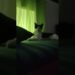 A realeza na sua própria cama 😸💖