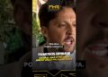 Celebridades opinam sobre os cards de luta Whindersson, Davi Brito, Bambam e mais video